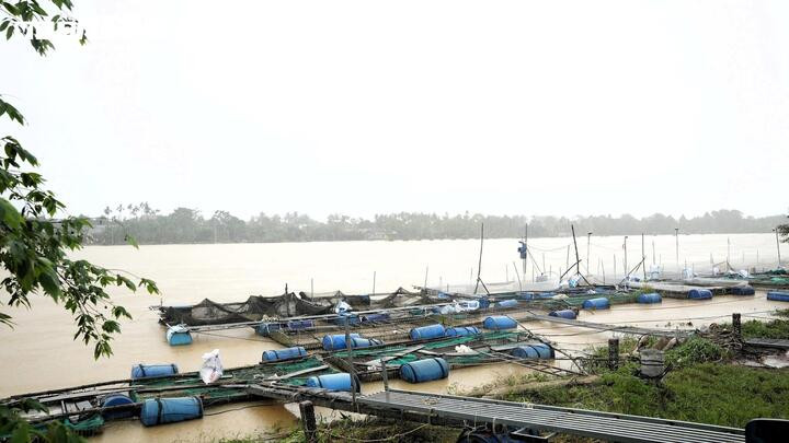 Lũ dữ khiến người nông dân nuôi cá trên sông Bồ thiệt hại nặng nề.