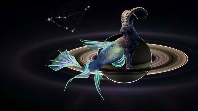 Tuần tới 4 cung hoàng đạo phúc tinh chiếu mệnh tài lộc rực rỡ sự nghiệp thăng tiến bất ngờ