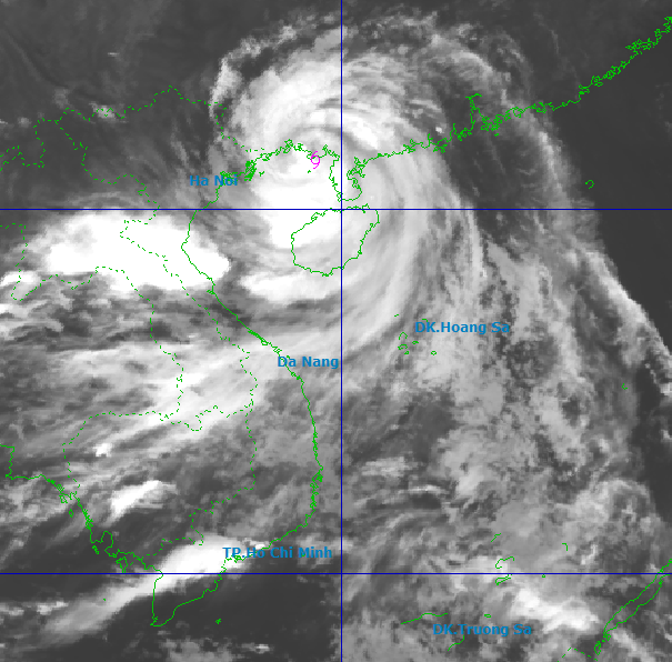 bao so 11 ve tinh toi.png