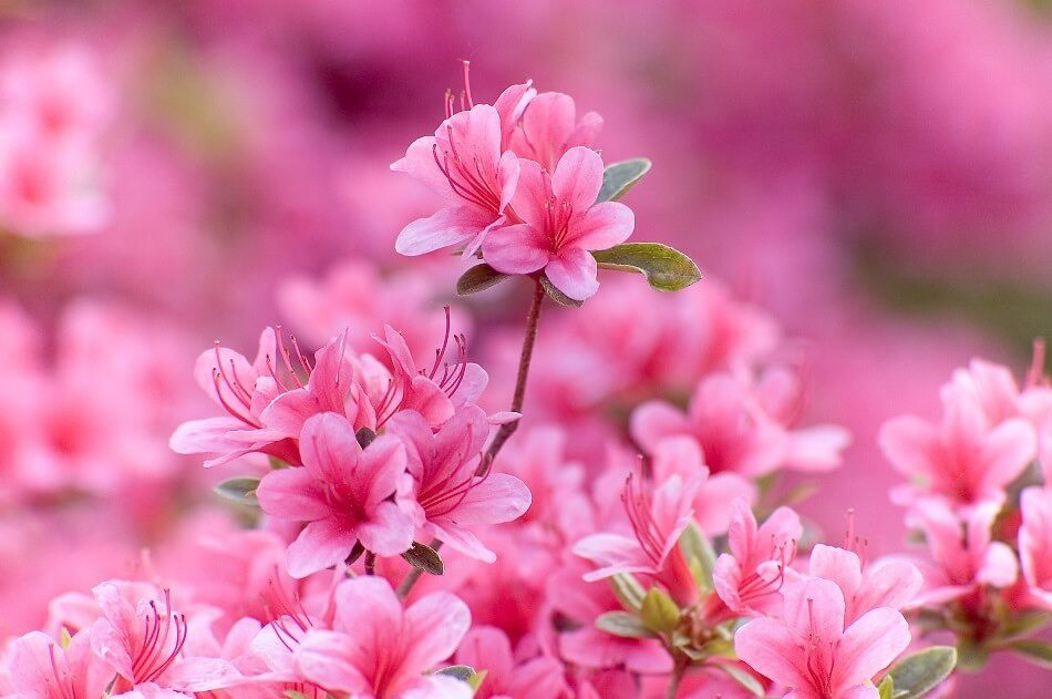 Ngày sinh Âm lịch của người cả đời không lo thiếu tiền - Ảnh 2.