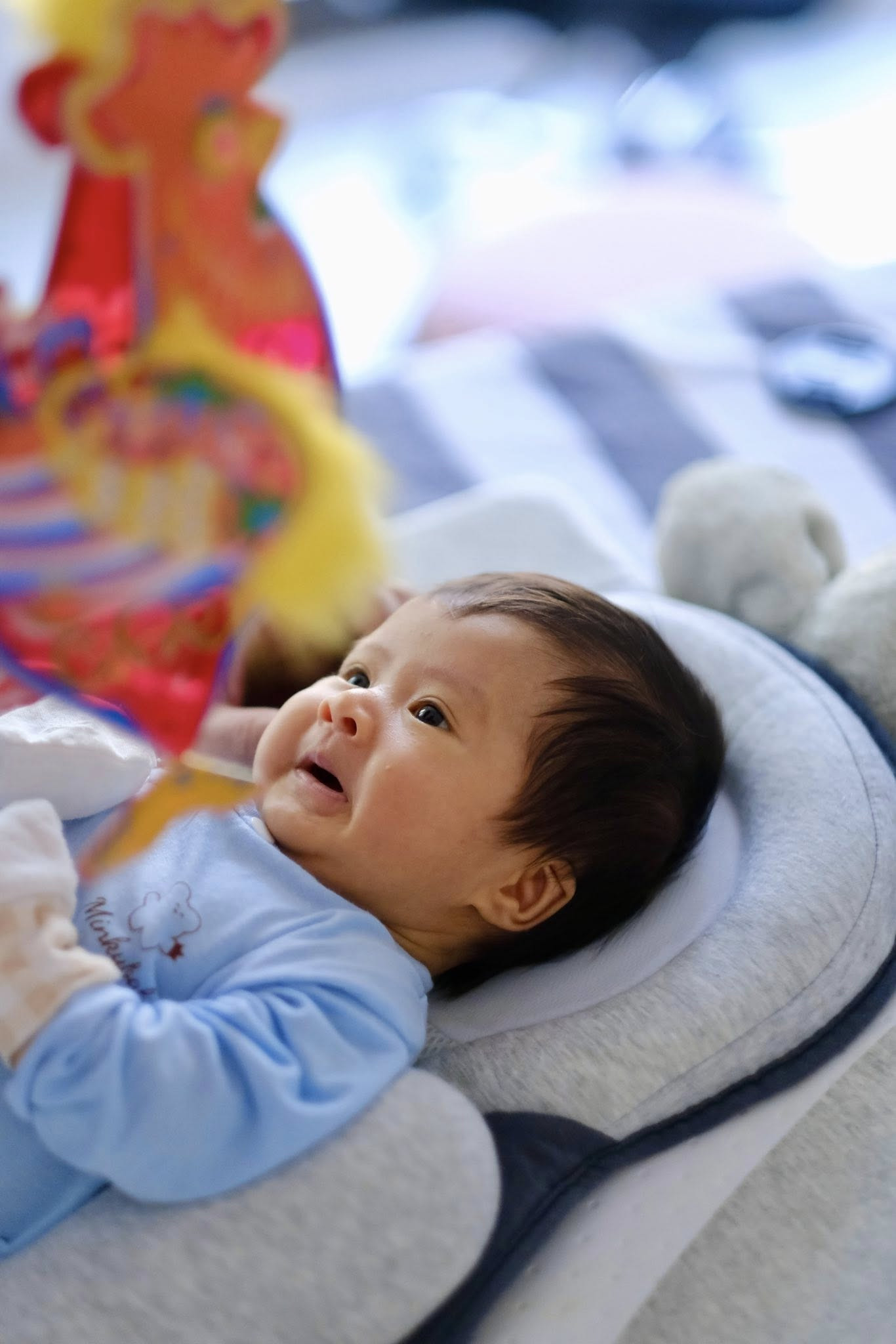 557547298254402306422303618304659533006562259n 1759824391049919866644.jpg