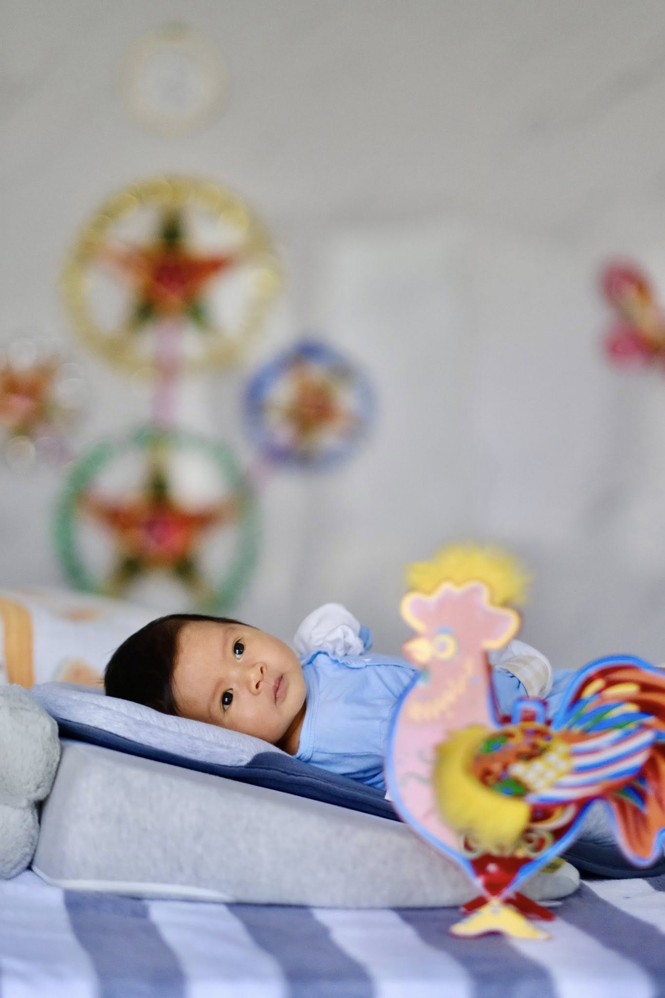 558422006254402302822303977994601563478077647n 1759824391086145146298.jpg