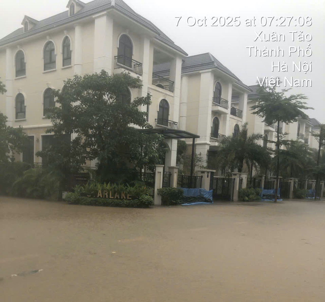 0dd476ba eaf8 4fcc 8bfa 33e9e4fcea0f.jpeg