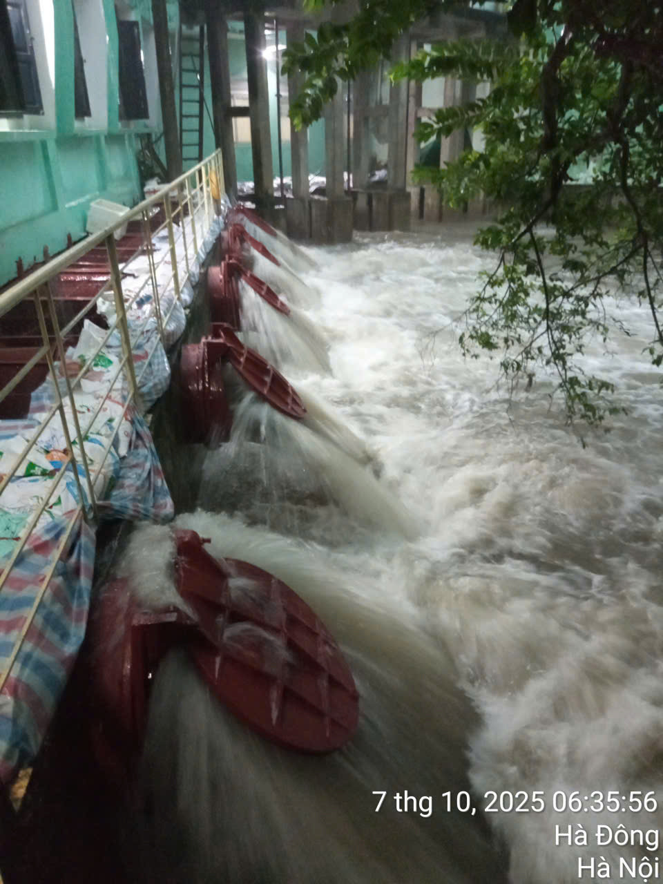 d9a16233 5c50 44cf a6b7 c1af1be87b33.jpeg