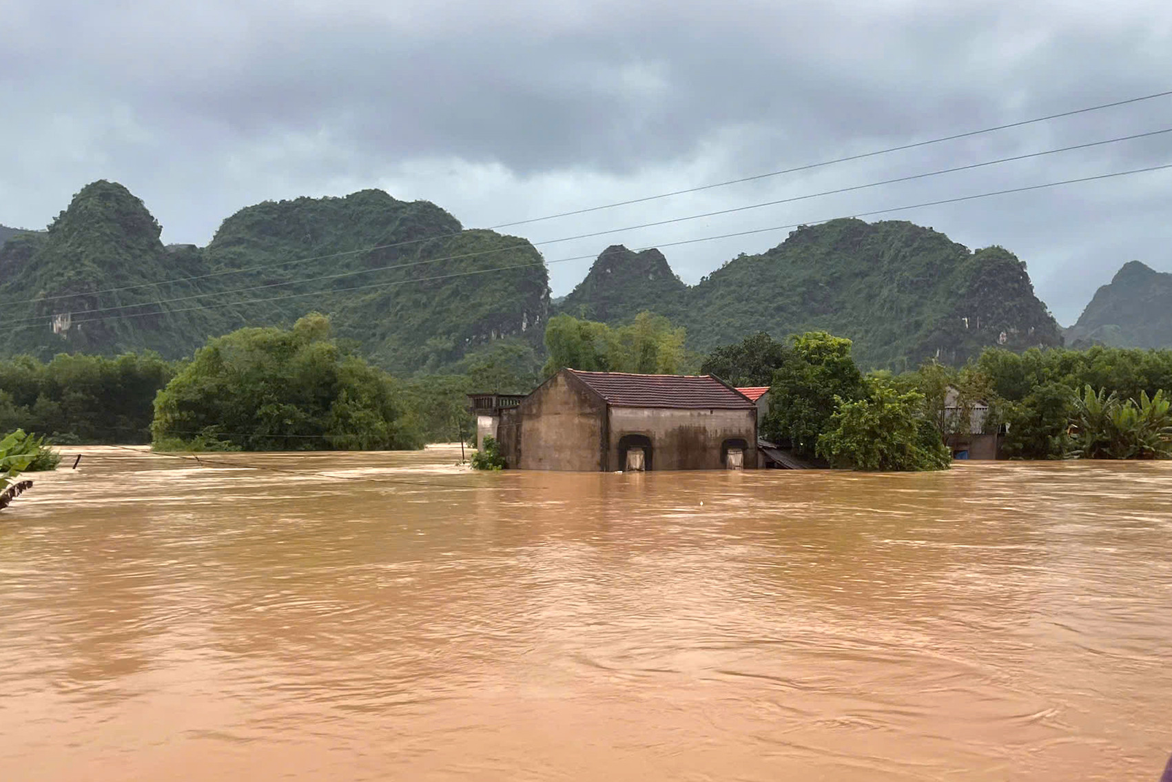 3b75b25e 3833 4544 82e4 e5c4ebb6075d.jpeg