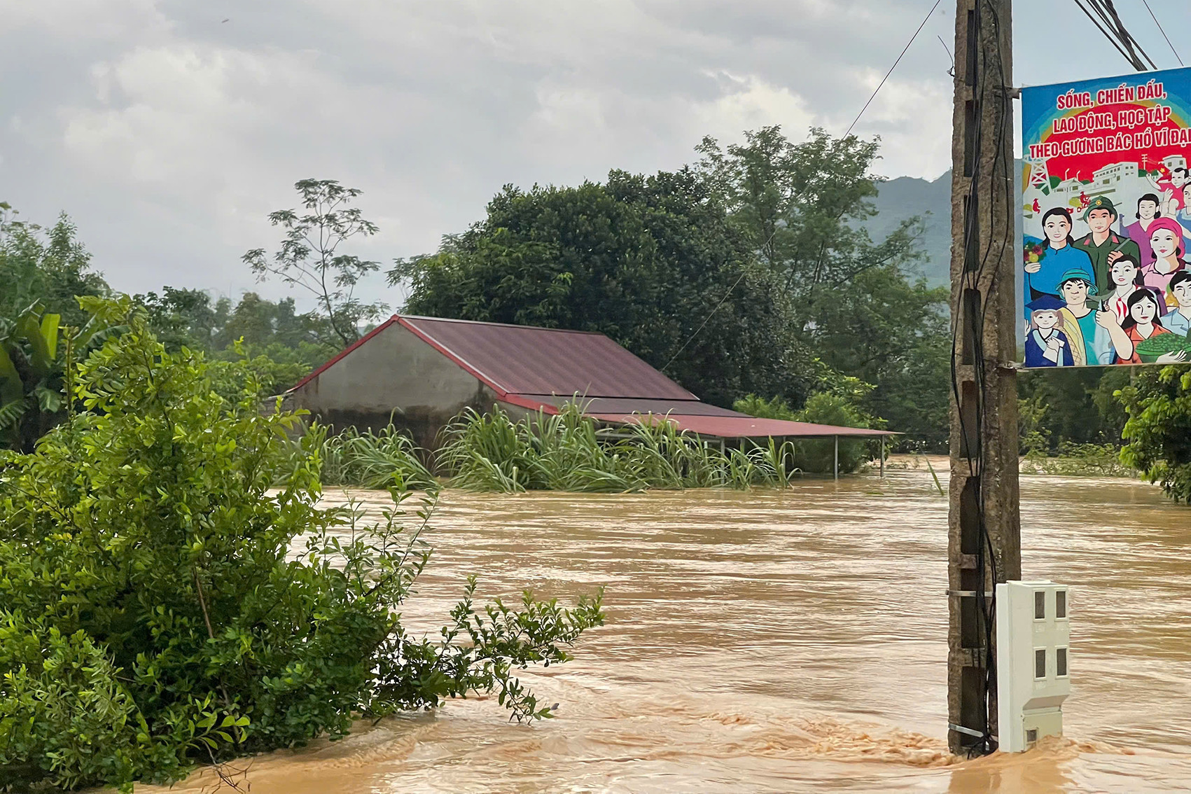 0b923296 7268 4ce4 b6d3 ad44ea95d987.jpeg