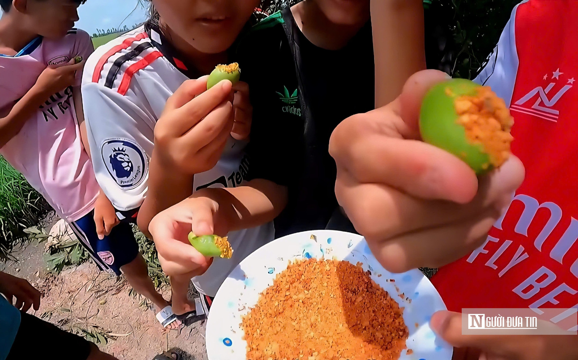 Thứ quả chua chát mùa nước nổi miền Tây, một khi đã nếm khó lòng quên- Ảnh 7.