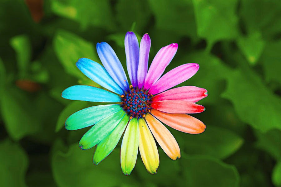 Ngày sinh Âm lịch của người nỗ lực không ngừng: Càng về sau càng thịnh vượng - Ảnh 2.