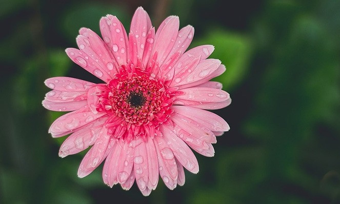 Ngày sinh Âm lịch của người nỗ lực không ngừng: Càng về sau càng thịnh vượng - Ảnh 3.