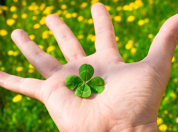 4 con giáp làm việc thiện được phúc báo, nhận được giàu có lẫn hạnh phúc trong 3 năm tới - Ảnh 7.