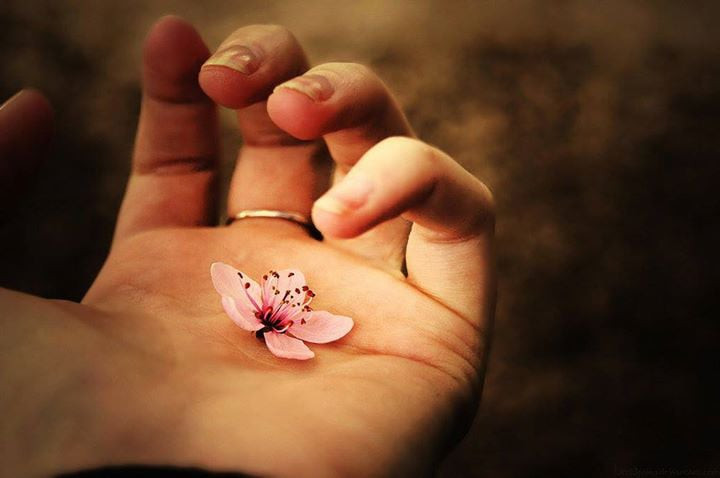 4 con giáp làm việc thiện được phúc báo, nhận được giàu có lẫn hạnh phúc trong 3 năm tới - Ảnh 2.