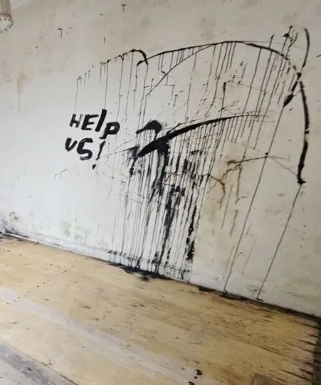 Ngôi nhà trông bình thường từ bên ngoài, nhưng ẩn chứa điều đáng sợ bên trong - Ảnh 3.