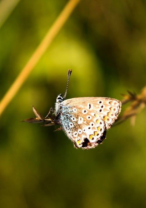 Tháng sinh Âm lịch của người có nhân duyên tốt - Ảnh 1.