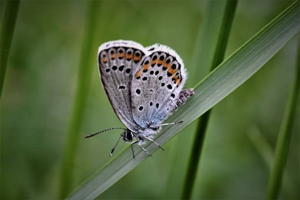 Tháng sinh Âm lịch của người có nhân duyên tốt - Ảnh 3.