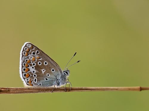 Tháng sinh Âm lịch của người có nhân duyên tốt - Ảnh 2.