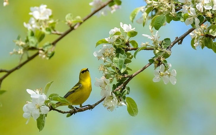 5 số cuối ngày sinh Âm lịch đặc biệt tốt lành: Càng lớn tuổi càng nhiều phúc - Ảnh 1.