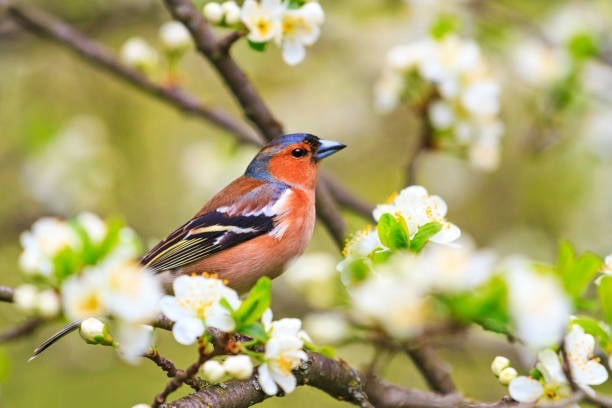 5 số cuối ngày sinh Âm lịch đặc biệt tốt lành: Càng lớn tuổi càng nhiều phúc - Ảnh 3.