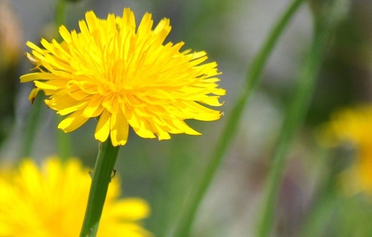 Tháng sinh Âm lịch của người bản lĩnh, càng khó khăn càng mạnh mẽ - Ảnh 3.