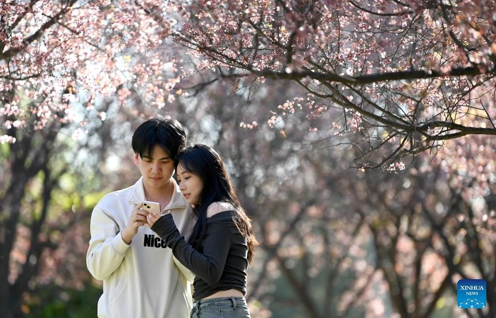 Những cặp đôi cung hoàng đạo dễ phải lòng nhau ngay từ khoảnh khắc lần đầu gặp - Ảnh 1.