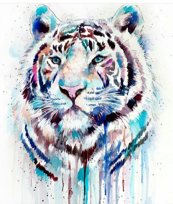 Tử vi 12 con giáp thứ Bảy ngày 15112025