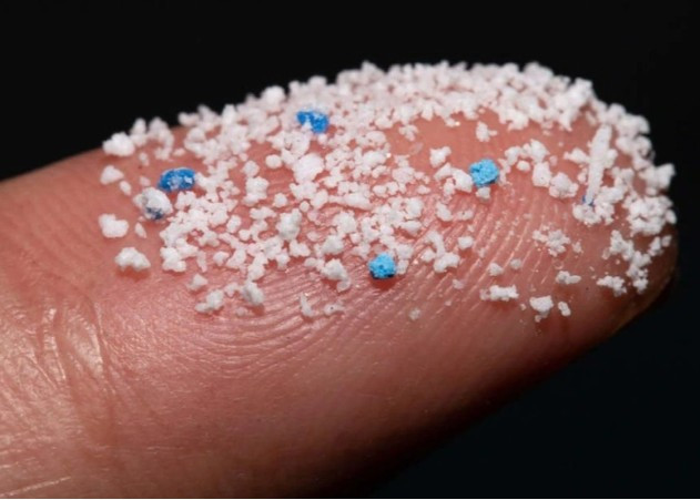 Loại rau giúp thải tác hại của hạt vi nhựa đang bán đầy chợ, người Việt nên ăn hàng ngày - Ảnh 9.