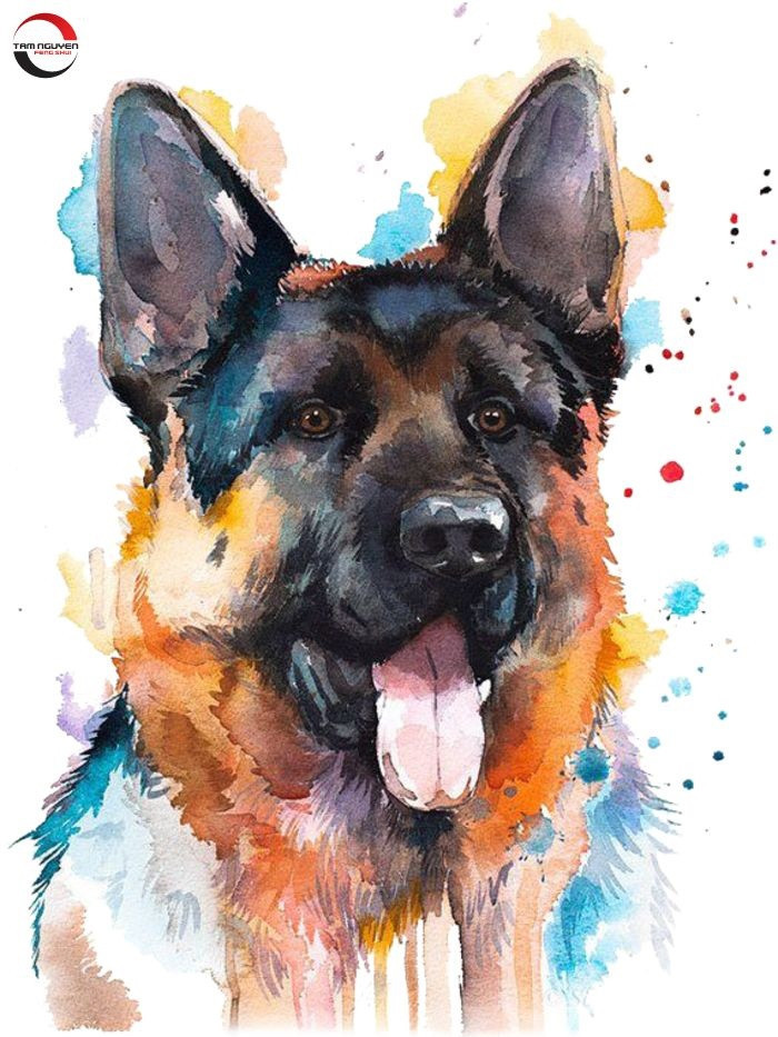 Tử vi 12 con giáp thứ Ba ngày 18112025