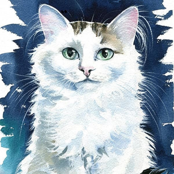 Tử vi 12 con giáp thứ Ba ngày 18112025