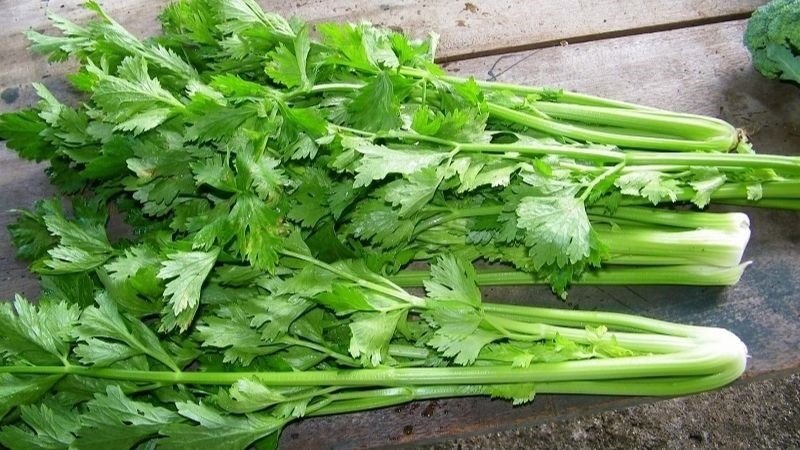 Loại rau có công dụng đặc biệt hỗ trợ ngừa ung thư, bán đầy chợ Việt, chế biến thành nhiều món ngon - Ảnh 1.