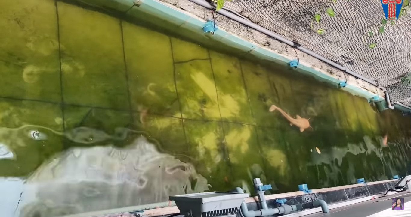 NSND Hồng Vân và Lê Tuấn Anh: Hạnh phúc bên tổ ấm tuổi U60 - Ảnh 25.