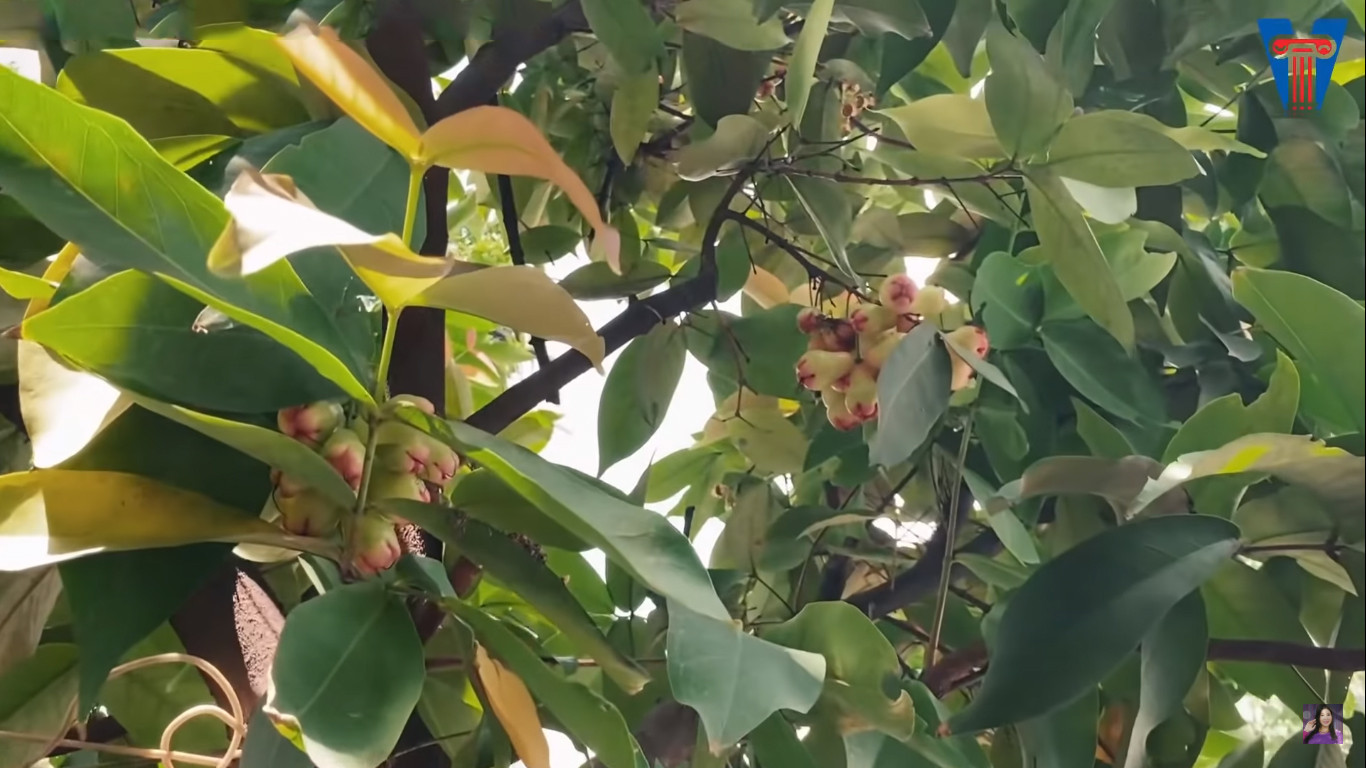 NSND Hồng Vân và Lê Tuấn Anh: Hạnh phúc bên tổ ấm tuổi U60 - Ảnh 28.