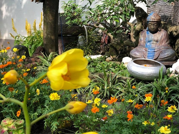 NSND Hồng Vân và Lê Tuấn Anh: Hạnh phúc bên tổ ấm tuổi U60 - Ảnh 6.