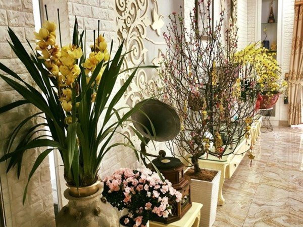 NSND Hồng Vân và Lê Tuấn Anh: Hạnh phúc bên tổ ấm tuổi U60 - Ảnh 11.