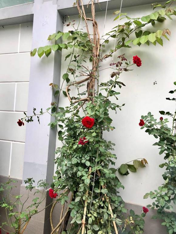 NSND Hồng Vân và Lê Tuấn Anh: Hạnh phúc bên tổ ấm tuổi U60 - Ảnh 8.