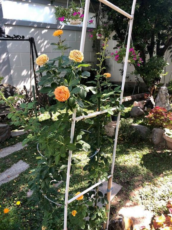 NSND Hồng Vân và Lê Tuấn Anh: Hạnh phúc bên tổ ấm tuổi U60 - Ảnh 9.