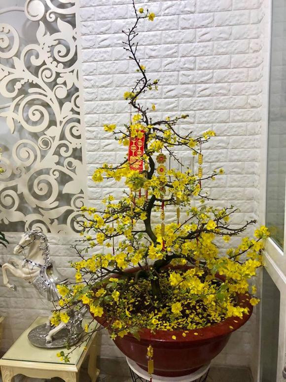 NSND Hồng Vân và Lê Tuấn Anh: Hạnh phúc bên tổ ấm tuổi U60 - Ảnh 13.