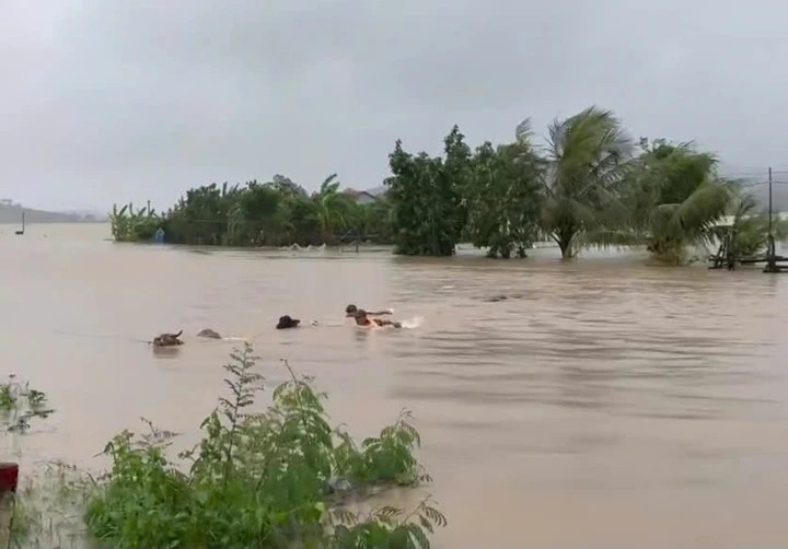 Trước tình hình các thủy điện xả lũ ở mức lịch sử, Chủ tịch UBND tỉnh Tạ Anh Tuấn đã ký công điện hỏa tốc gửi Thủy điện Sông Ba Hạ, Thuỷ điện Sông Hinh, Thuỷ điện Krông Hnăng đề nghị các hồ thủy điện vận hành lưu lượng xả nhỏ hơn lưu lượng đến để tích dần mực nước và giảm lũ về hạ du.