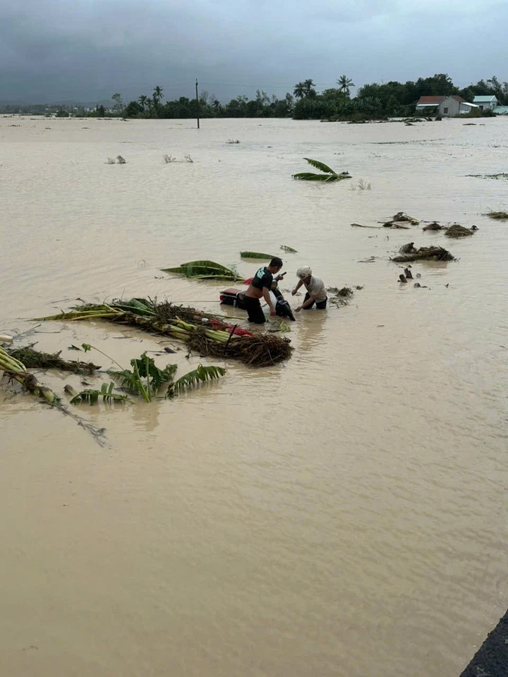 Theo báo cáo của Sở Nông Nghiệp và Môi trường, từ đêm 15 đến ngày 19/11, mưa lớn kéo dài trên địa bàn gây ra nhiều thiệt hại nặng nề. Báo cáo nhanh từ các địa phương cho biết, đợt mưa lũ này đã khiến 1 người tại phường Sông Cầu tử vong. Về nhà ở, 8 căn nhà tại buôn Tơng Rang A, Tơng Rang B và thôn Ra Hăn (xã Yang Mao) bị sập đổ, cuốn trôi. Toàn tỉnh ghi nhận 22.938 lượt nhà bị ngập, 1.123 hộ bị cô lập. Có tới 7.765 hộ phải di dời khẩn cấp và hiện đã được sơ tán đến nơi an toàn. Chính quyền địa phương cảnh báo số nhà ngập nhiều khả năng còn tiếp tục tăng do mực nước vẫn dâng cao.