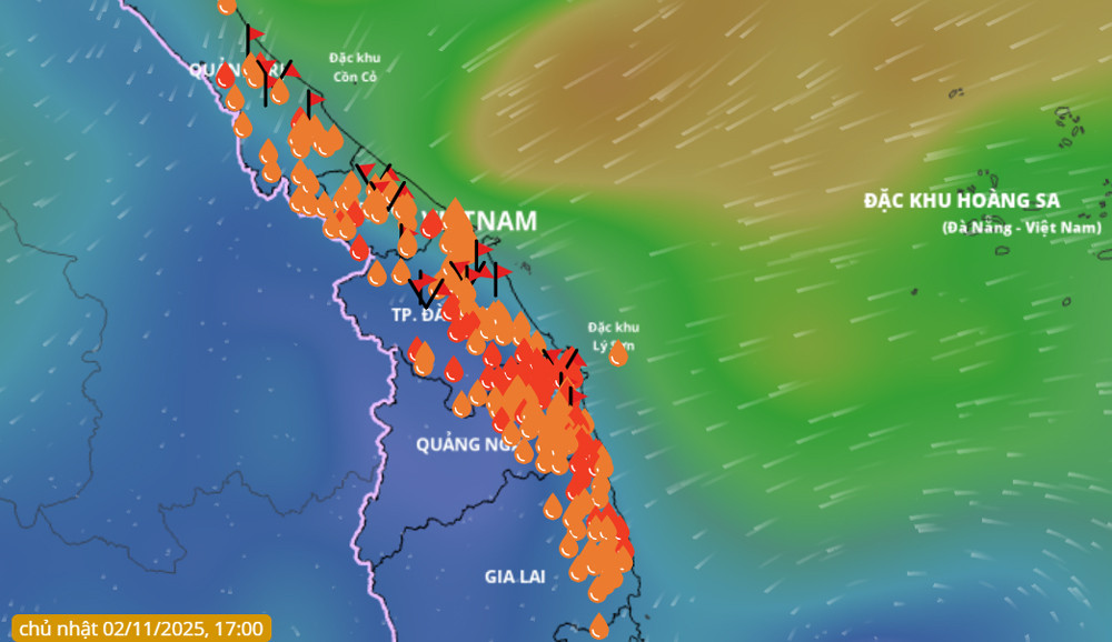 mua lon mien Trung.jpg