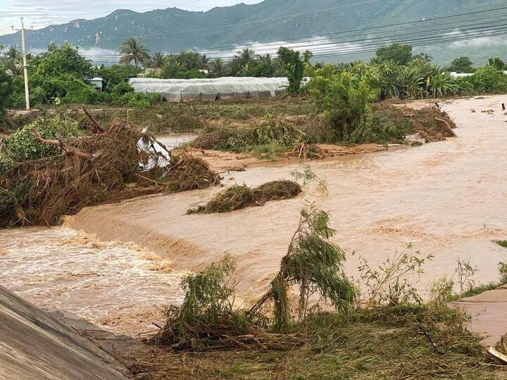 Nhiều cây cối, hoa màu của người dân bị nước cuốn phăng tơi tả. (Ảnh: Người dân cung cấp)