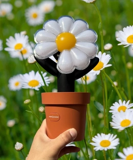 Đâu chỉ tiền vé, tiền đi lại, bạn gái tôi còn đầu tư sắm đủ các phụ kiện, đồ lưu niệm để cổ vũ thần tượng.