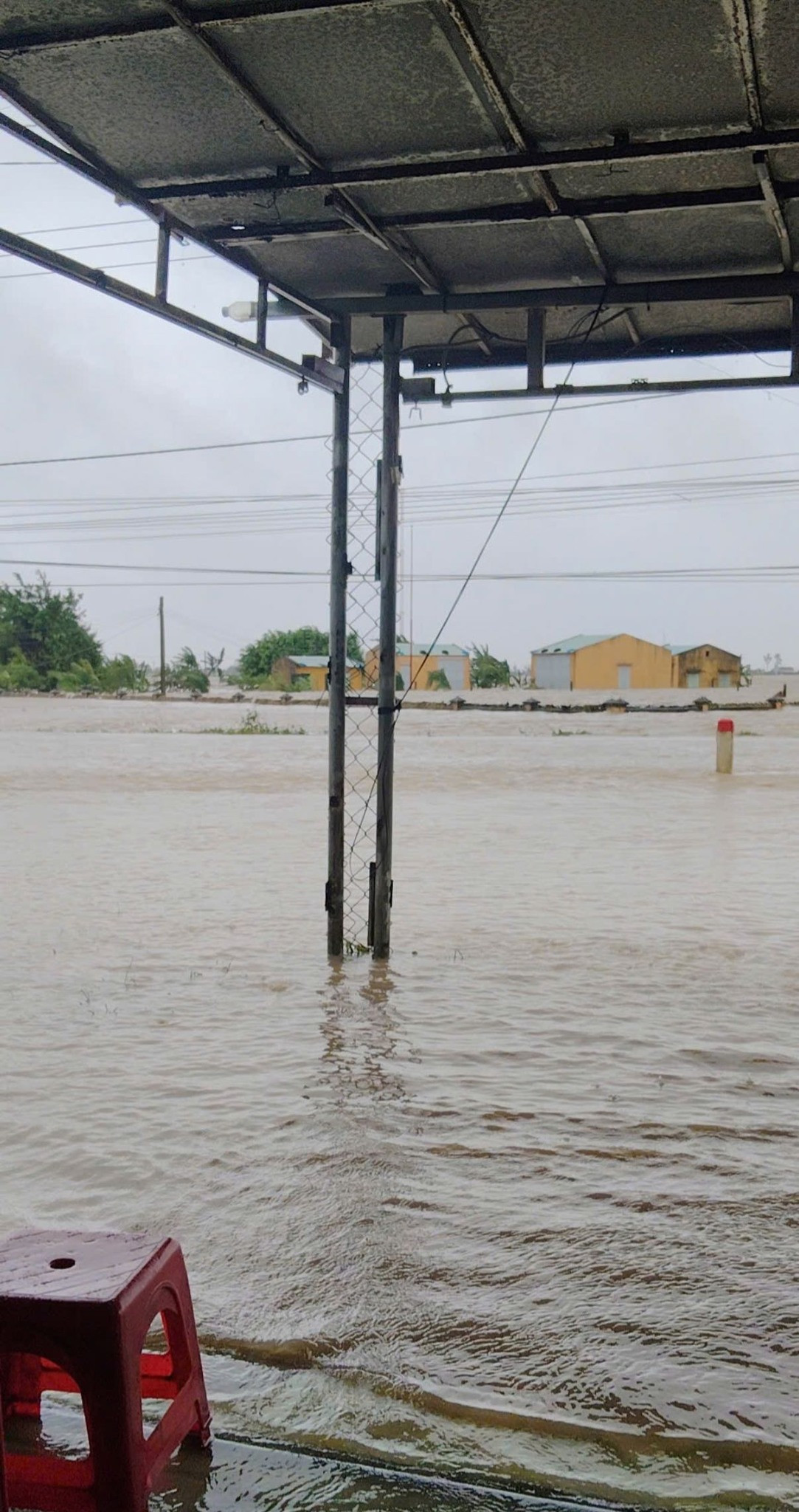 Bố Hoa hậu Yến Nhi mất tích giữa nước lũ , nàng hậu cầu cứu khẩn cấp - Ảnh 7.