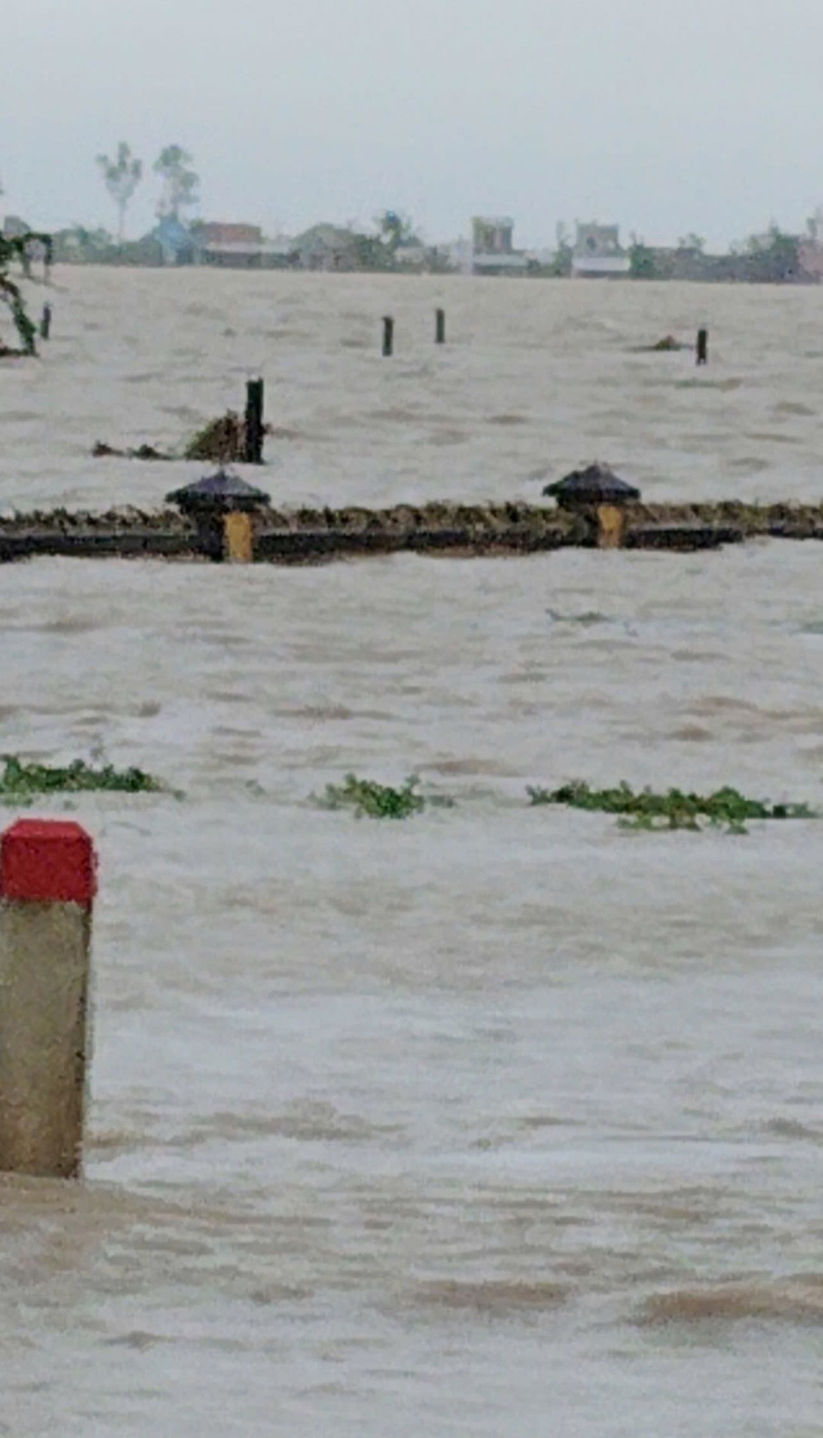 Bố Hoa hậu Yến Nhi mất tích giữa nước lũ , nàng hậu cầu cứu khẩn cấp - Ảnh 6.