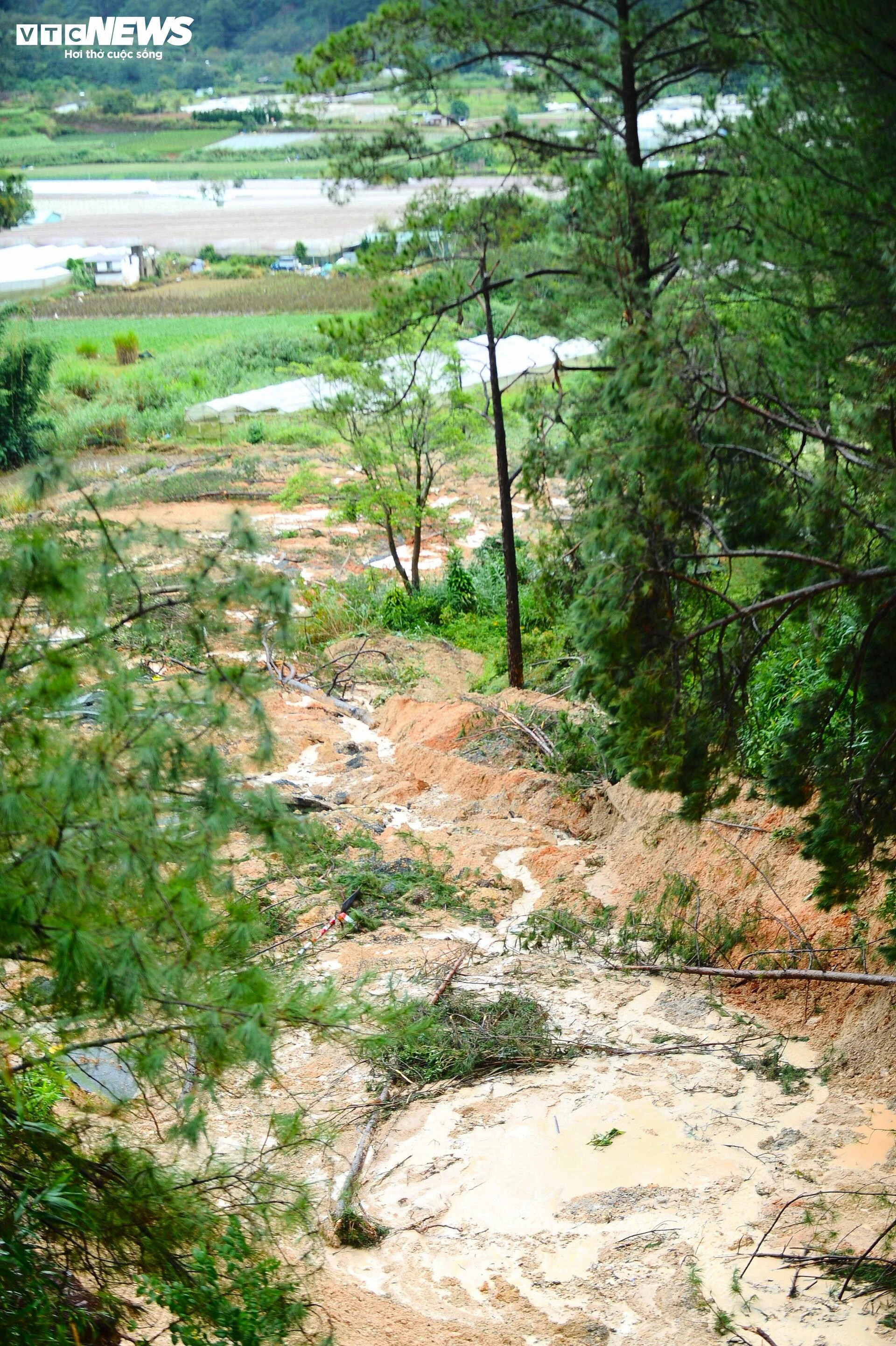 Cận cảnh hiện trường sạt lở kinh hoàng trên đèo Mimosa ở Lâm Đồng - 5