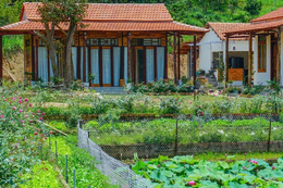 Nữ quản lý bỏ phố về quê để nghỉ hưu sớm với 11 tỷ: 3 năm sau hối hận quay lại thành phố tìm việc - Ảnh 1.