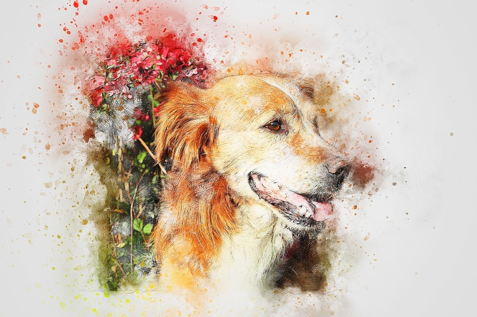 Tử vi 3 con giáp may mắn nhất thứ Bảy 2211 Định sẵn số giàu sang hút tài lộc cực mạnh