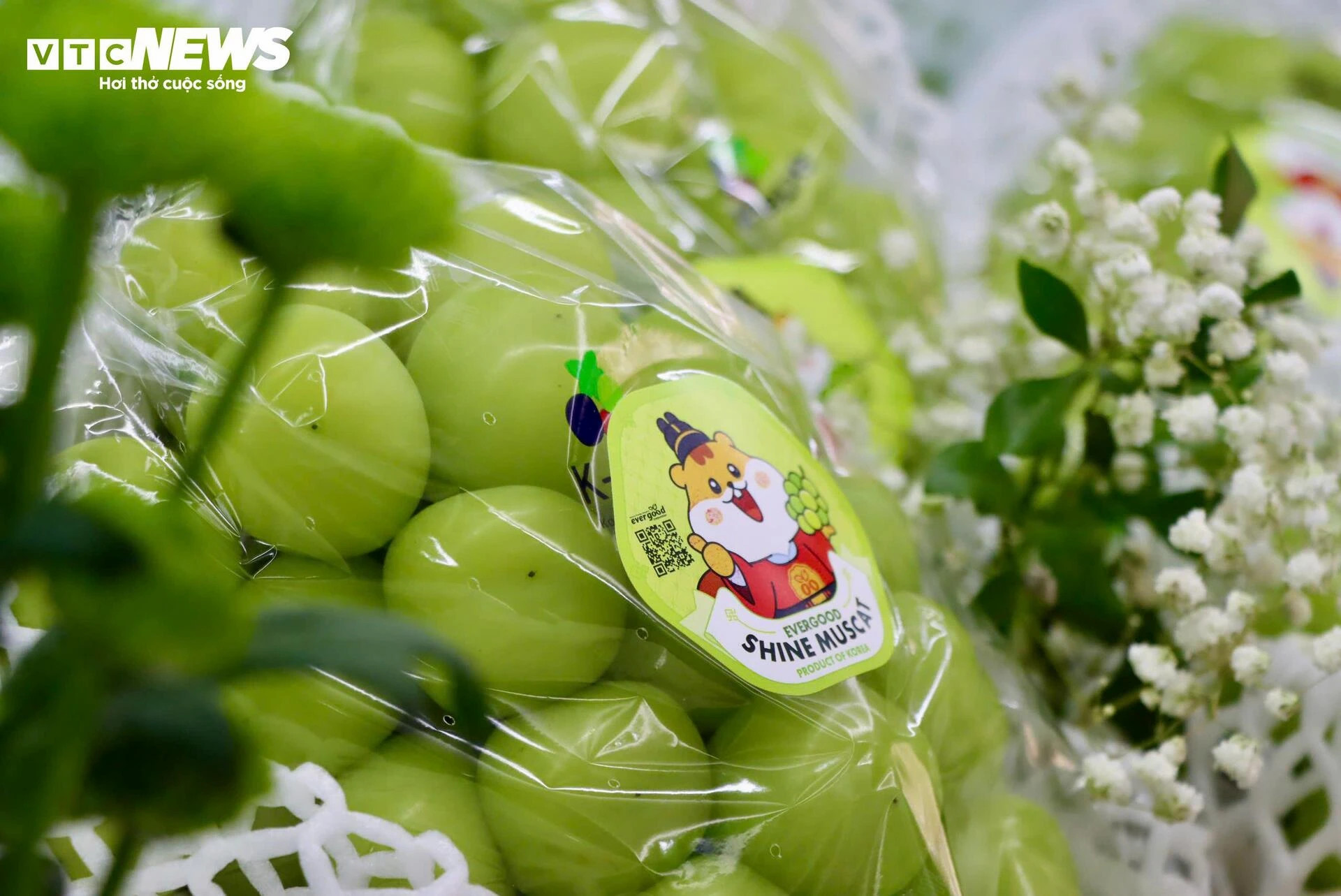 Cận cảnh loạt trái cây 'hot' bị nhái nguồn gốc, lừa người tiêu dùng - 6