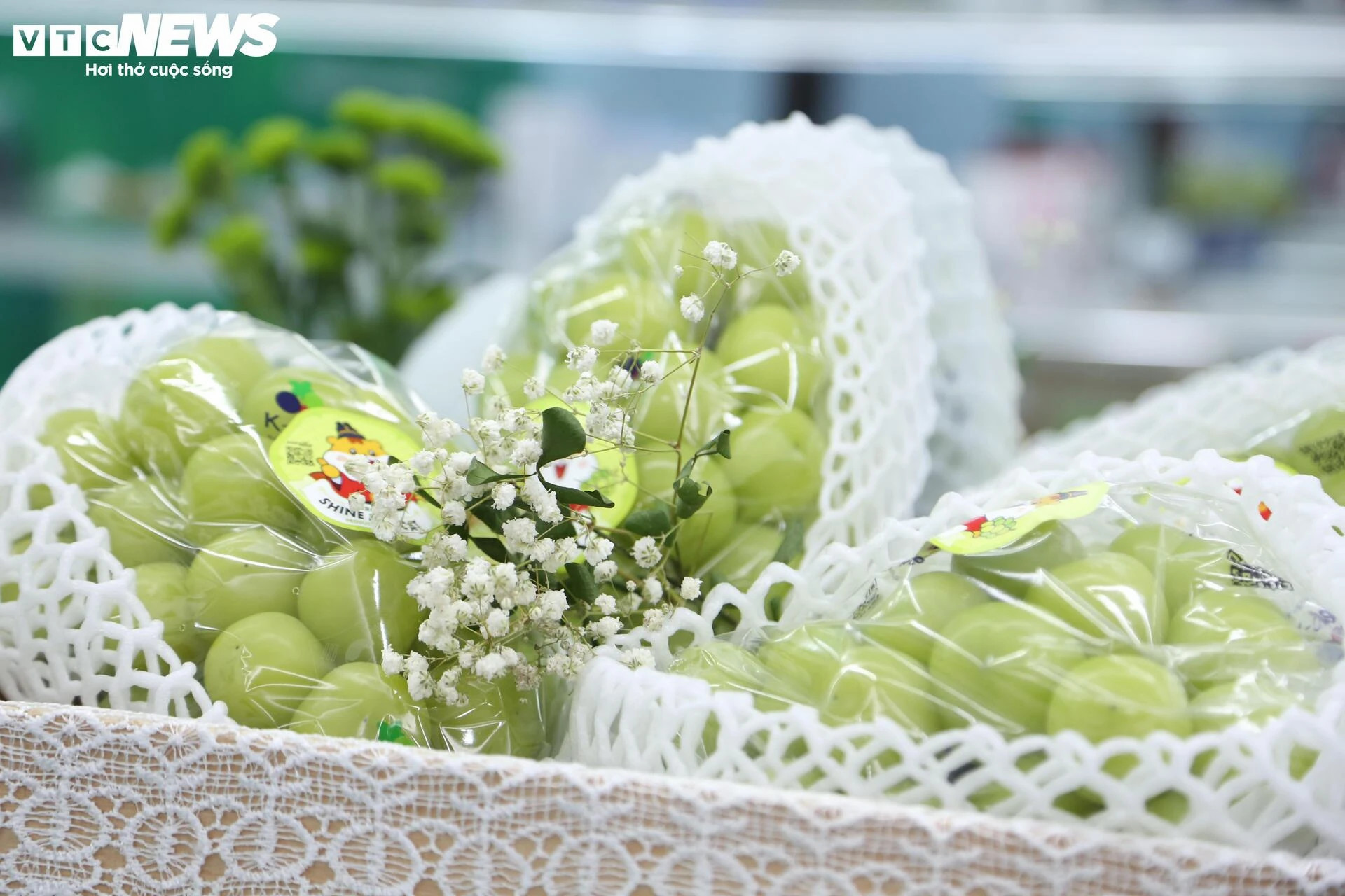 Cận cảnh loạt trái cây 'hot' bị nhái nguồn gốc, lừa người tiêu dùng - 5