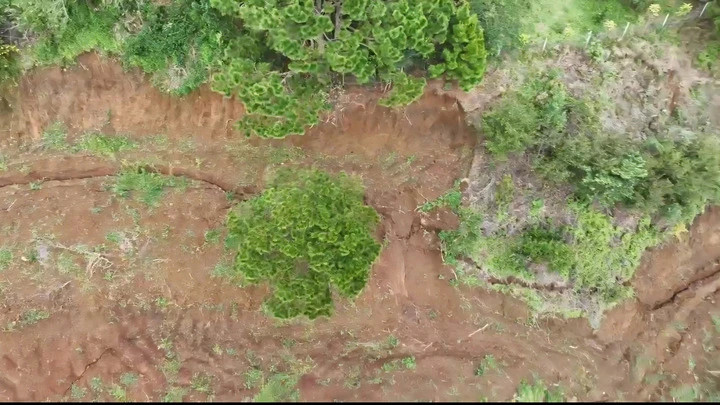 Cơ quan chức năng phát hiện trên đồi Ba Lá Xanh, thôn Lạc Thiện 2, xã D'Ran.