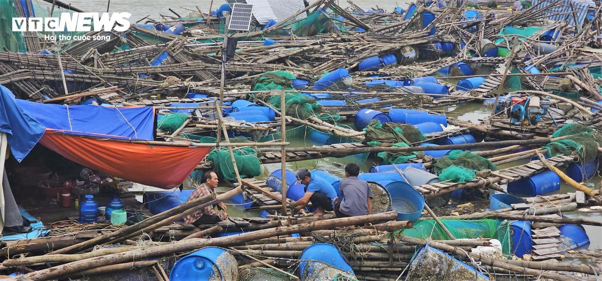 Bán tôm hùm 150.000 đồng/kg sau lũ dữ, người dân Đắk Lắk trắng tay - 2