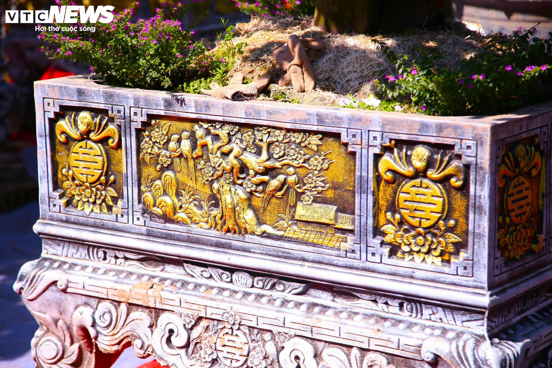 Bưởi Diễn hàng chục triệu đồng sẵn sàng chờ khách 'rước' về chơi Tết - 5